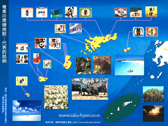 ���������Ē���\����